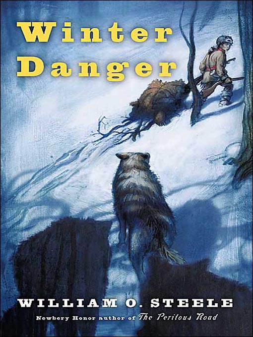 Cover image for Winter Danger
